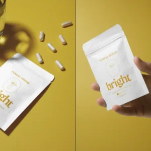 Fungal Friend – bright