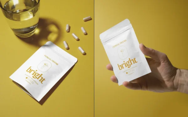 Fungal Friend – bright